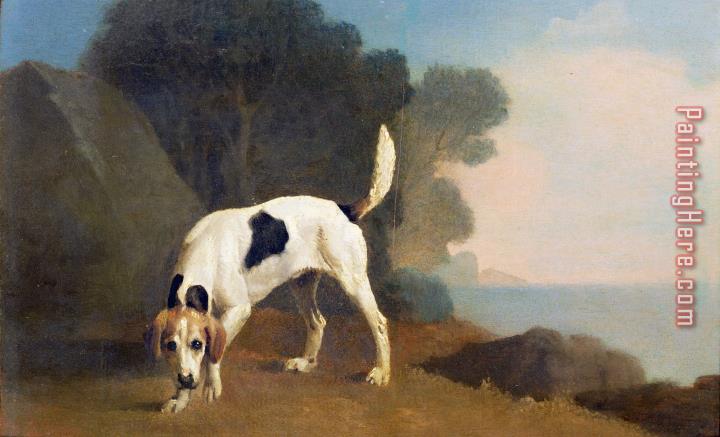 George Stubbs Foxhound on the Scent